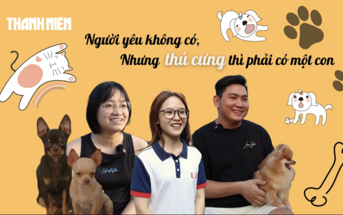 Bí mật Gen Z: ‘Người yêu không có, nhưng thú cưng phải có một con’